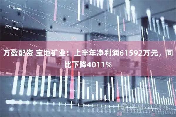 万盈配资 宝地矿业：上半年净利润61592万元，同比下降4011%
