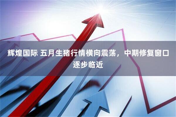 辉煌国际 五月生猪行情横向震荡，中期修复窗口逐步临近