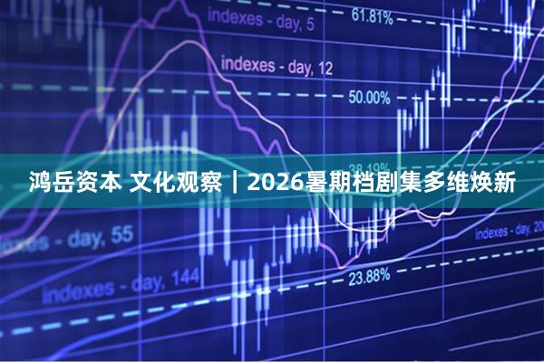 鸿岳资本 文化观察｜2026暑期档剧集多维焕新